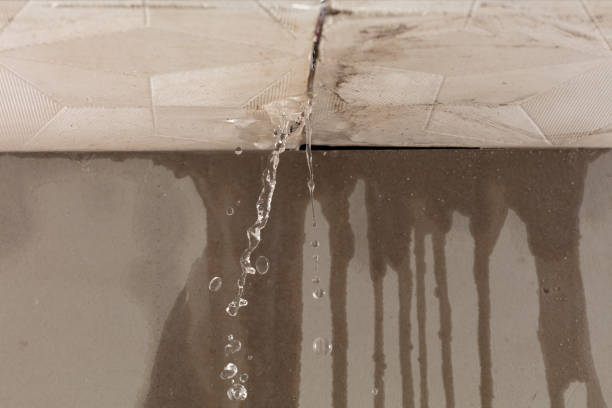 Professional Structural Drying technician working in Fairview, OH
